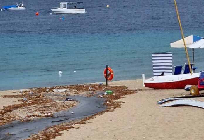 soverato mare sporco inquinato