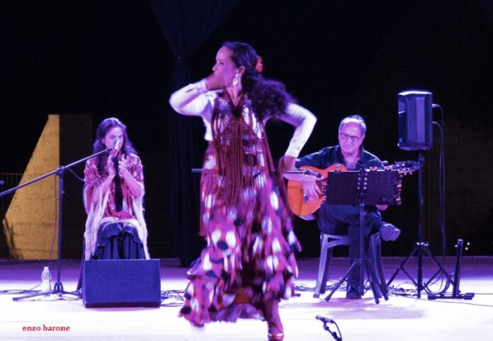 flamenco a Palmi