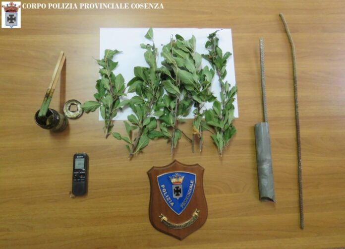 Lotta al bracconaggio