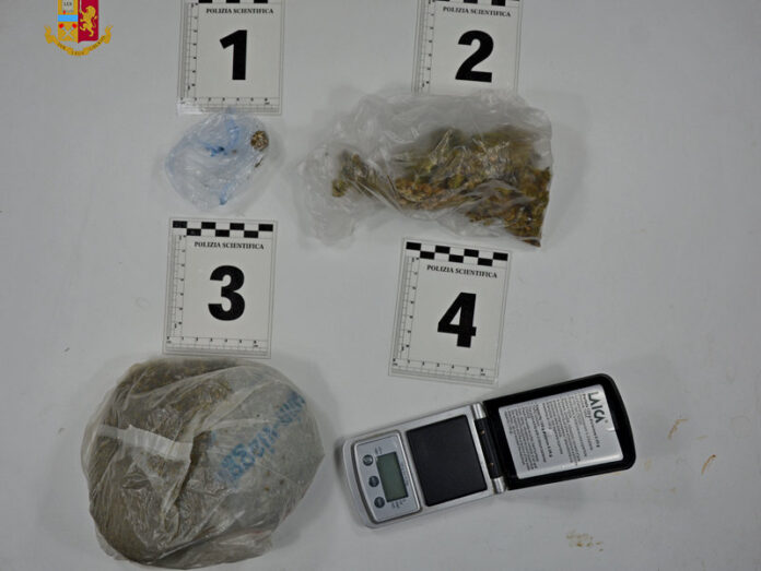 Sequestro droga bar abusivo cosenza