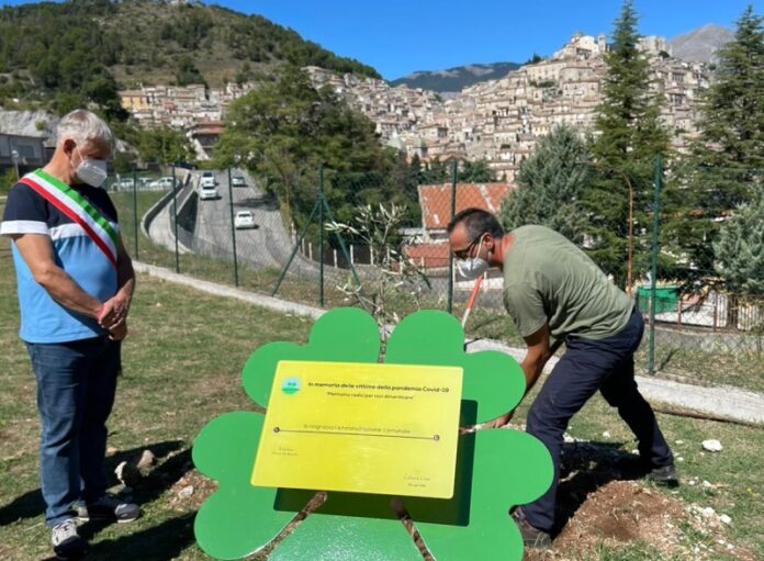 albero ulivo vittime covid Morano Calabro