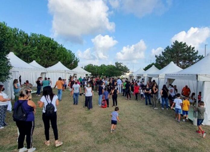 classi nei gazebo porto salvo