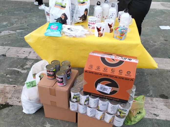 colletta alimentare per cani