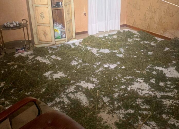 sequestro marijuana corigliano