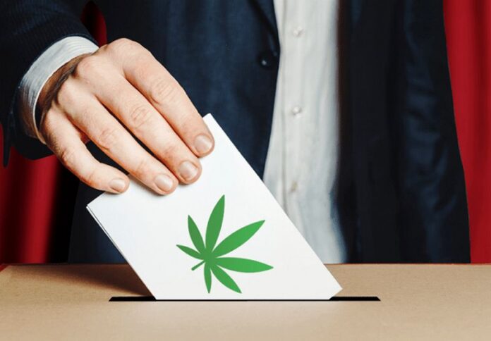 referendum cannabis