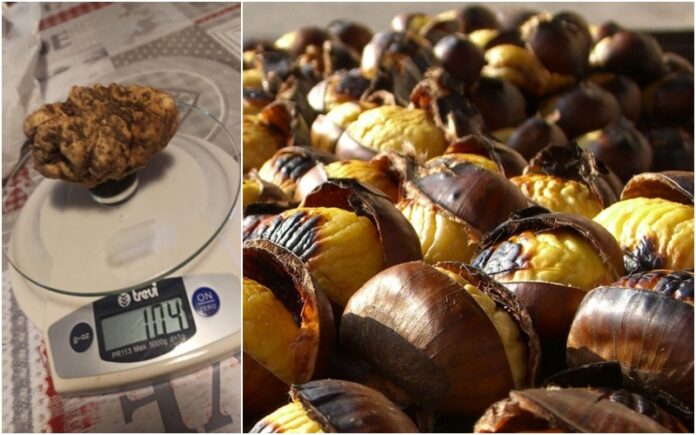 Laino borgo prodotti d autunno