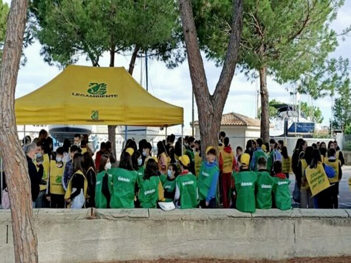 Pulizia Pineta Tropea Vallelata Legambiente