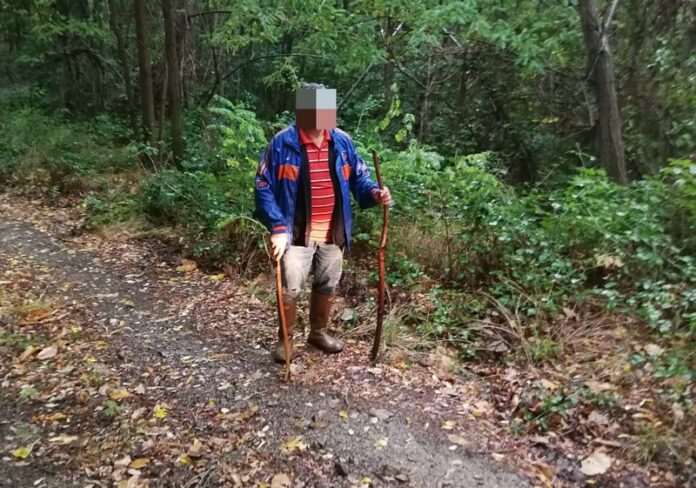 anziano disperso funghi sila