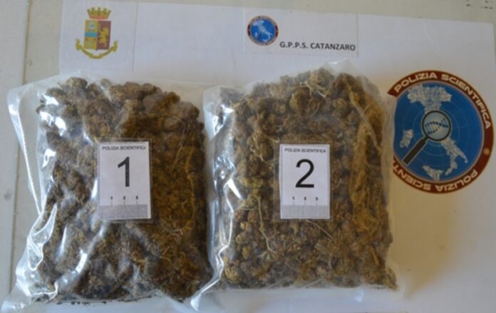 buste-marijuana-sequestro-polizia-catanzaro