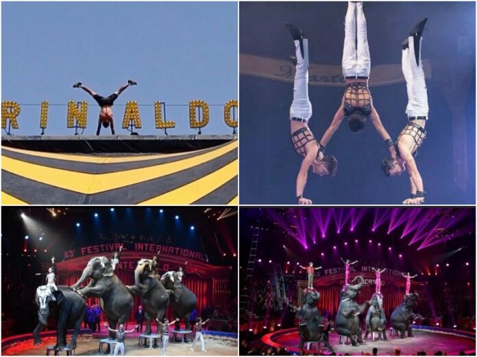 circo Orfei Reggio Calabria
