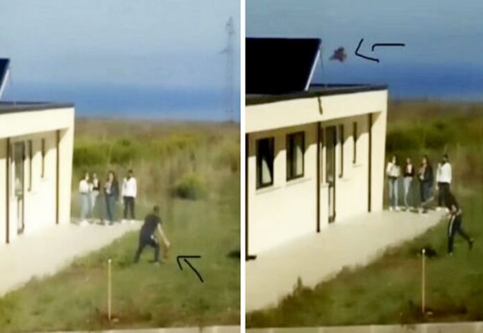 gallina tetto scuola enpa