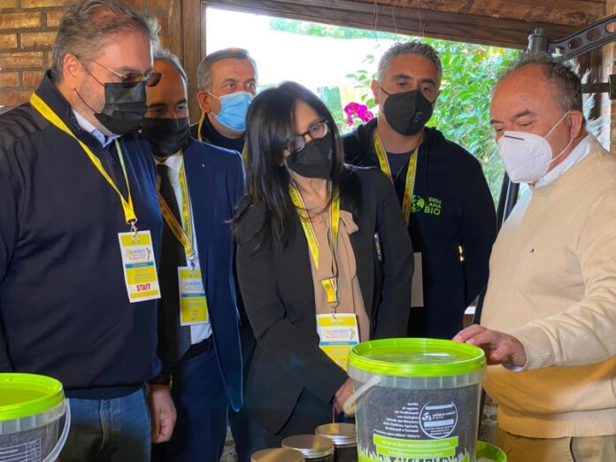 calabra maceri Gratteri