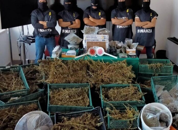 laboratorio marijuana crotone