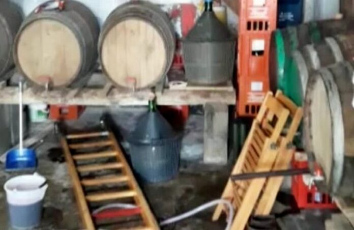 mosto cantina vino Paola
