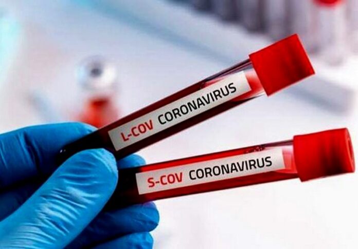 tamponi virus coronavirus controlli