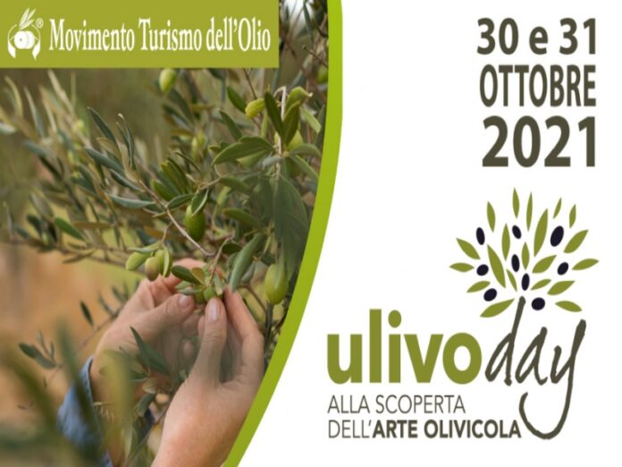 ulivo Day calabria