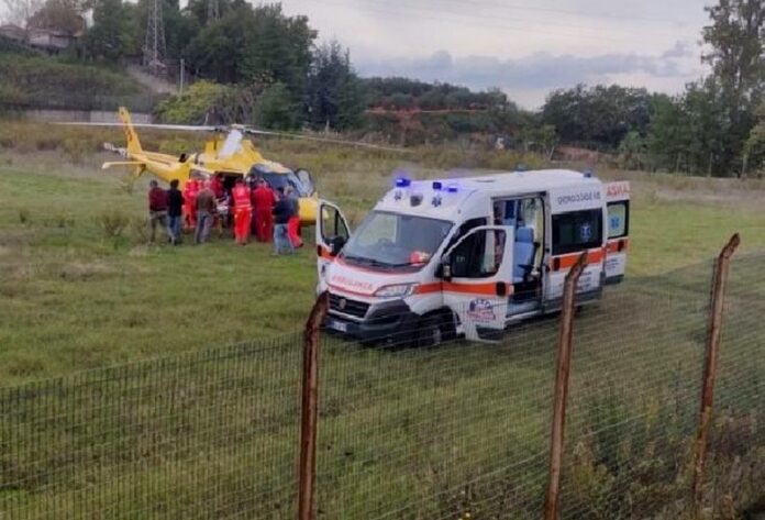 acquaro funghi intossicazione