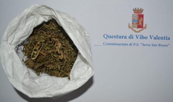 droga centro accoglienza