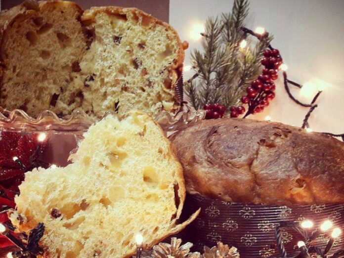 panettone santa maria del cedro