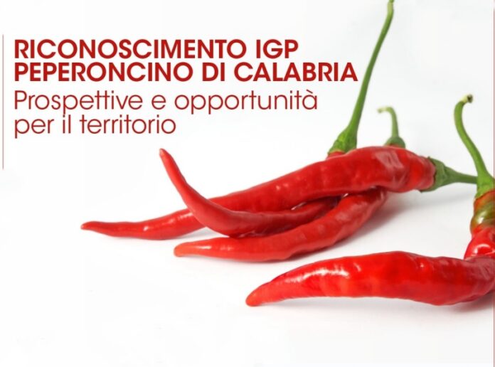 peperoncino calabria