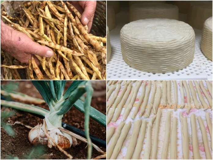 degustazione prodotti calabresi