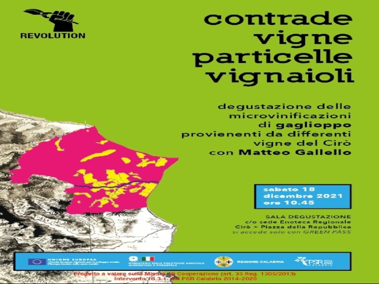A Cirò protagonista il gaglioppo con Gallello