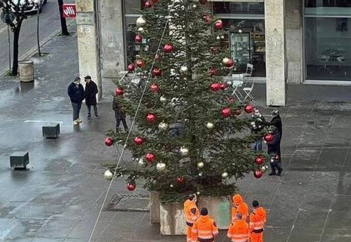 albero di natale piazza dei bruzi
