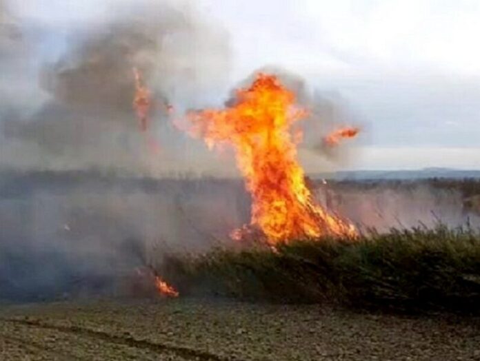 fuoco sterpaglie petilia