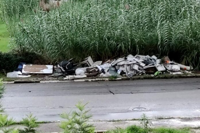 rifiuti abbandonati cosenza