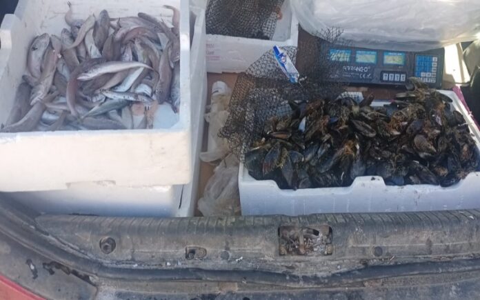 sequestro pesce