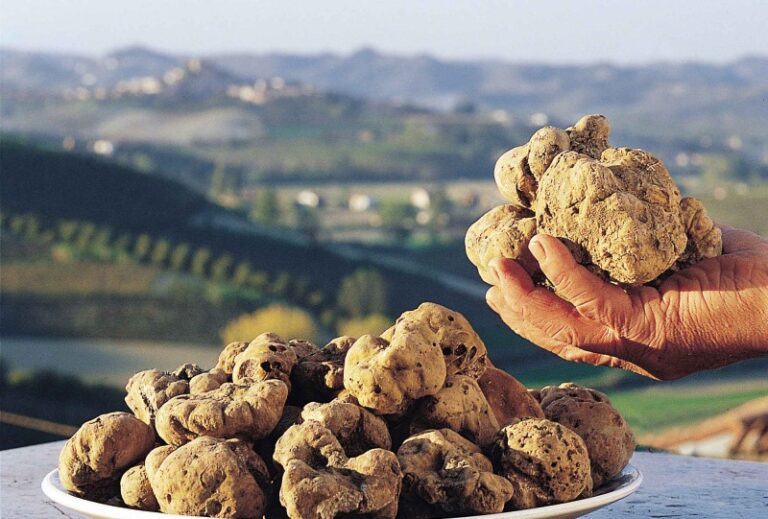 tartufi Calabria