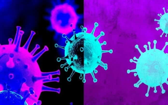 covid variante omicron