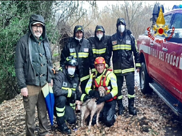 Cerisano, vigili del fuoco salvano cane in torrente
