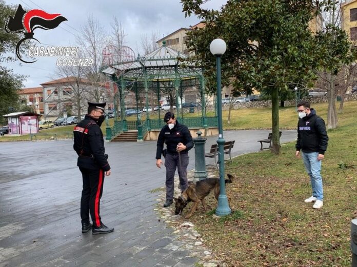controlli antidroga cane