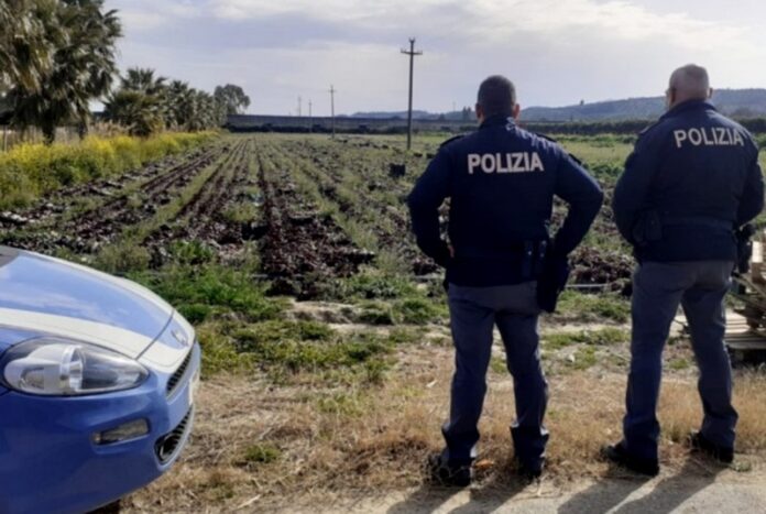 controlli campagne crotonese