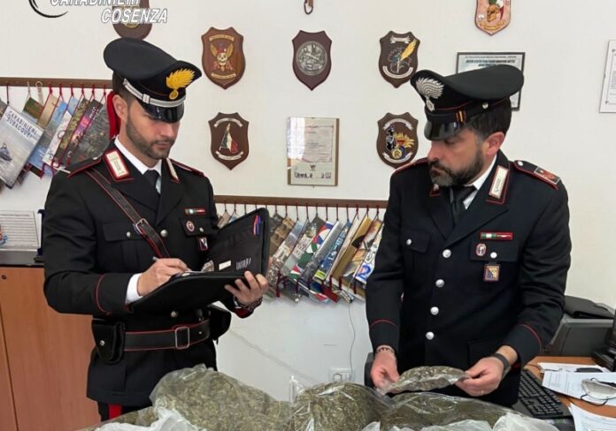 arresto spaccio droga Rende