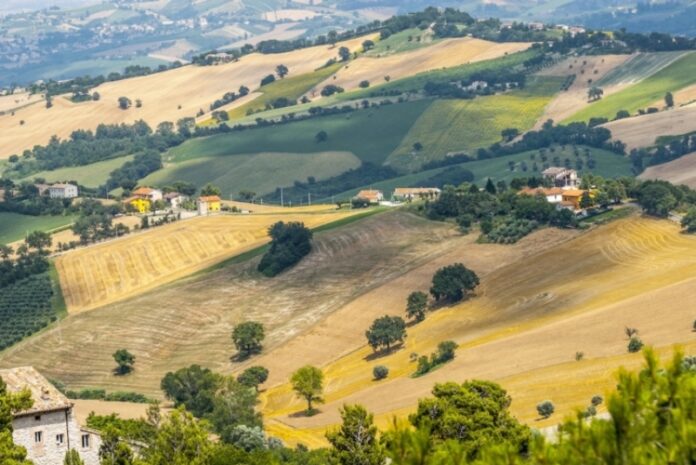 calabria aree rurali finanziamenti