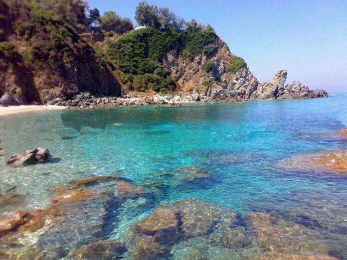Parghelia