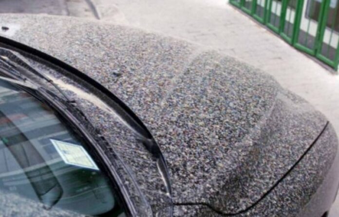 pioggia rossa fine settimana