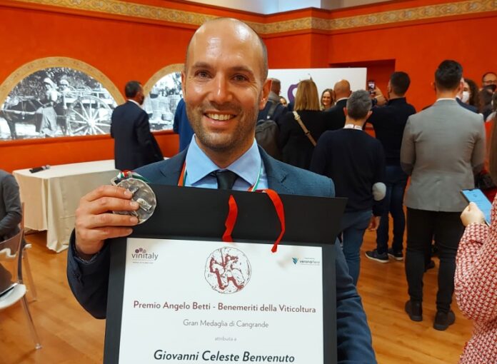 premio vinitaly Calabria