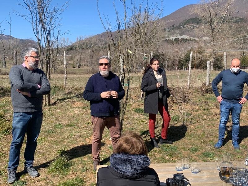 Senatore, Gagliardi, Laiacona e Sabatella