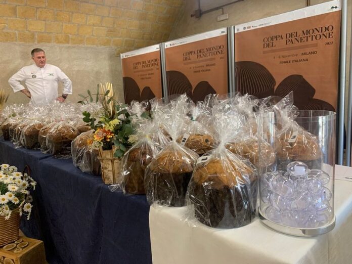 campionato mondiale panettone