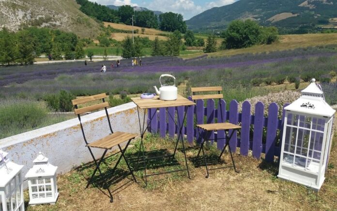 lavanda parco calabria