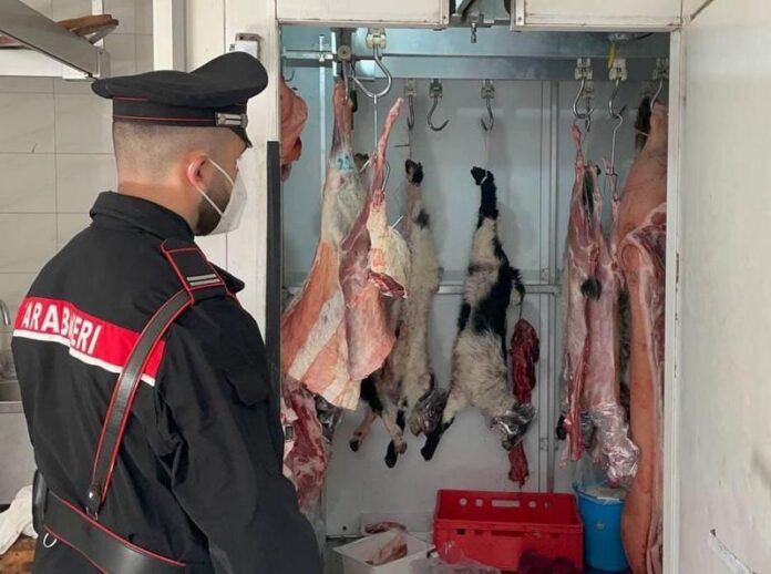macelleria abusiva nas