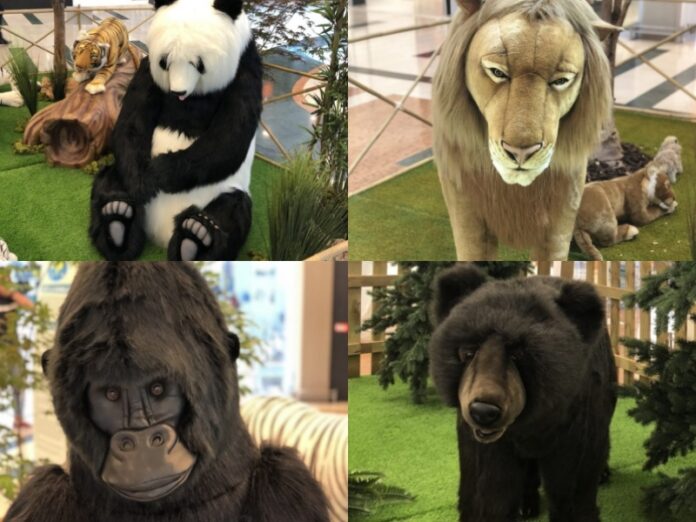 mostra-animali-Rende