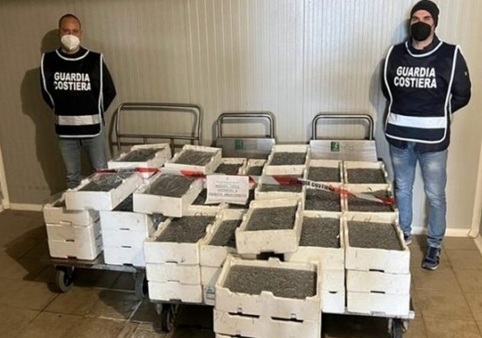 sequestro pesce sibaritide
