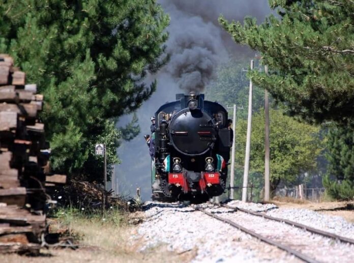 domenica delle Palme treno Sila