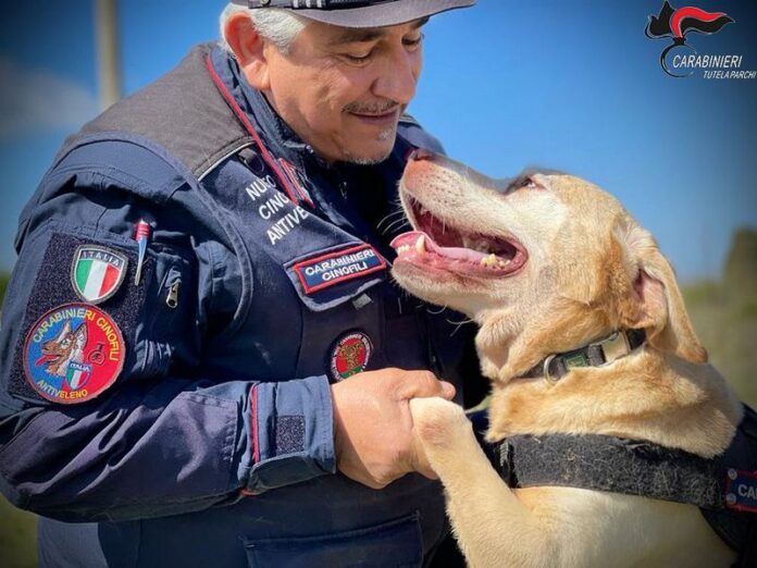 unità cinofile carabinieri