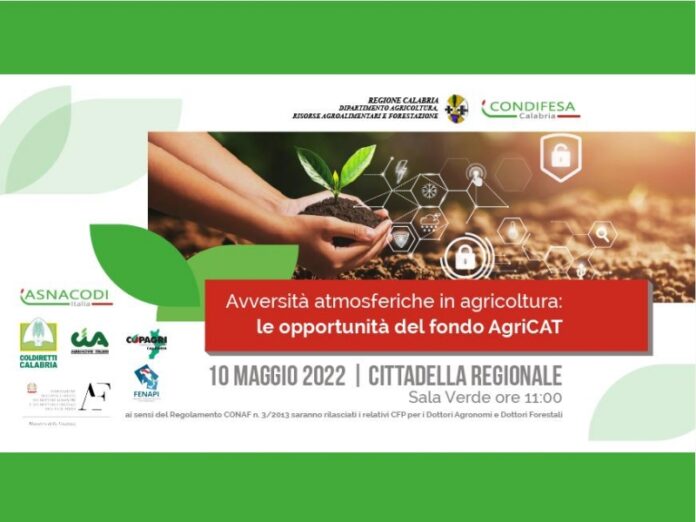 agricoltura problemi regione Calabria