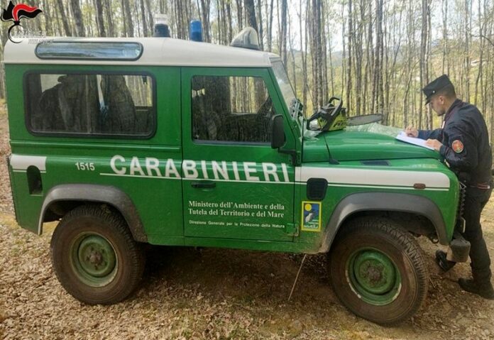 forestale carabiniere